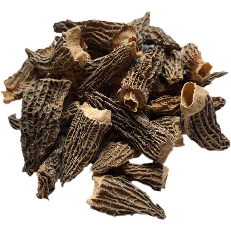 Morilles séchées en provenance de Patagonie vendues au poids toute l'année